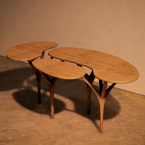 Ruru Coffee Table ✦ Popular