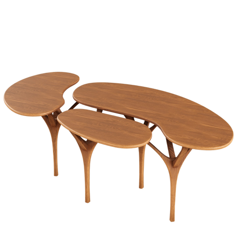 Mesa de Centro Ruru ✦ Popular